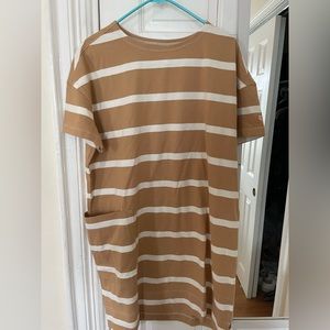 Everlane Tshirt dress